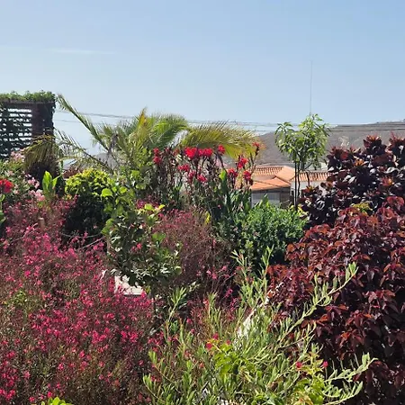 Domes1 Tenerife, Lujo Con El Encanto De Acampar * Arico